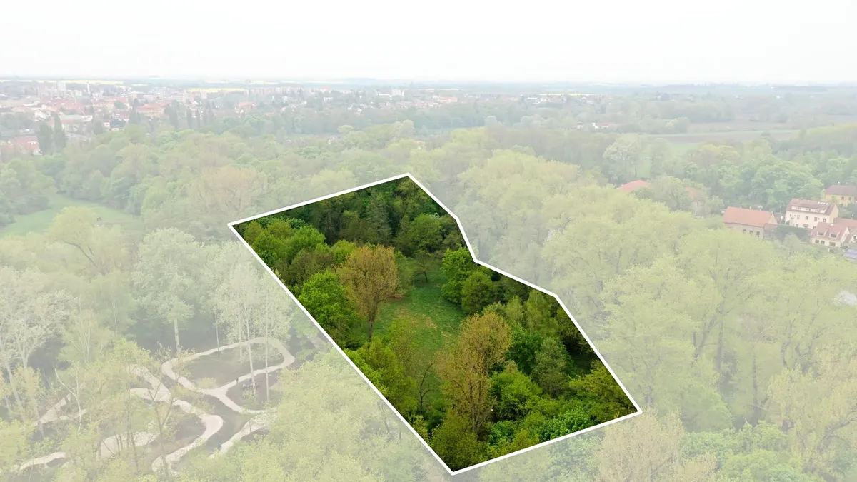 Prodej louky 12291 m²